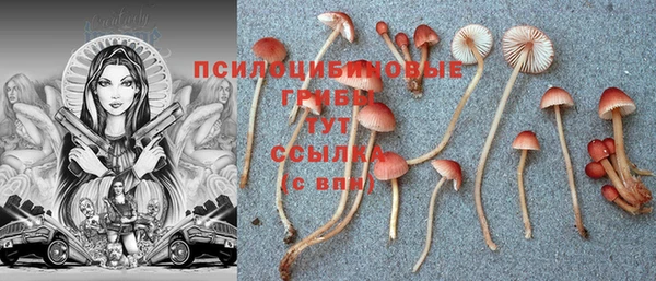 соль курить ск Белокуриха