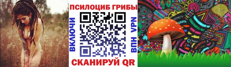 купить закладку  Бугульма  мега   Псилоцибиновые грибы Magic Shrooms 