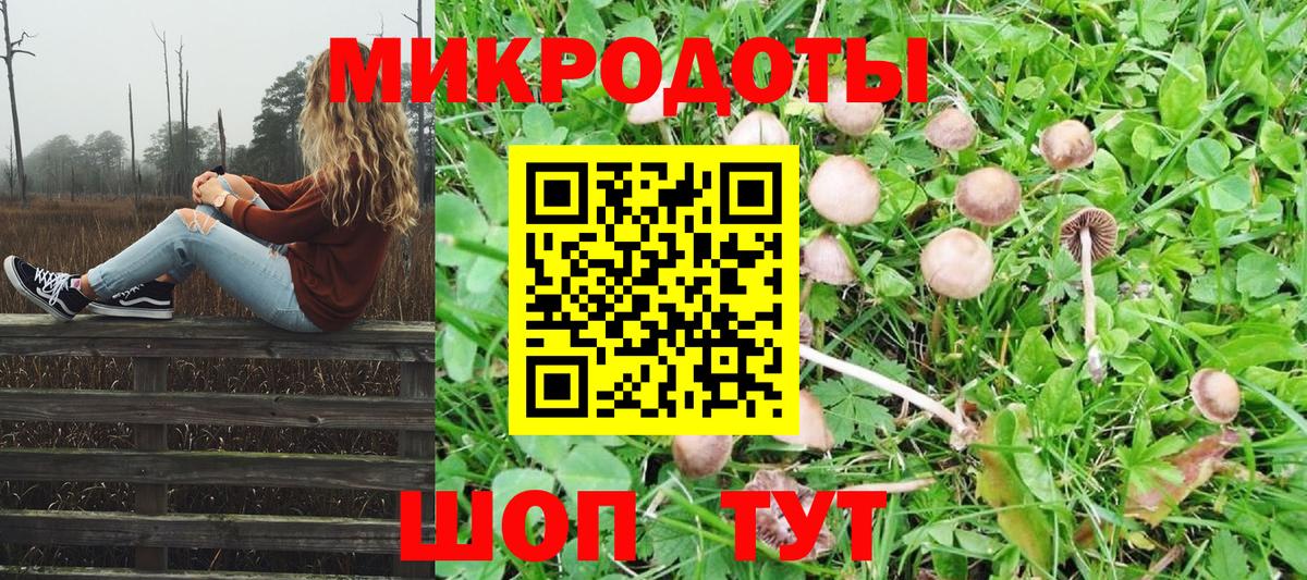 Галлюциногенные грибы MAGIC MUSHROOMS Бугульма