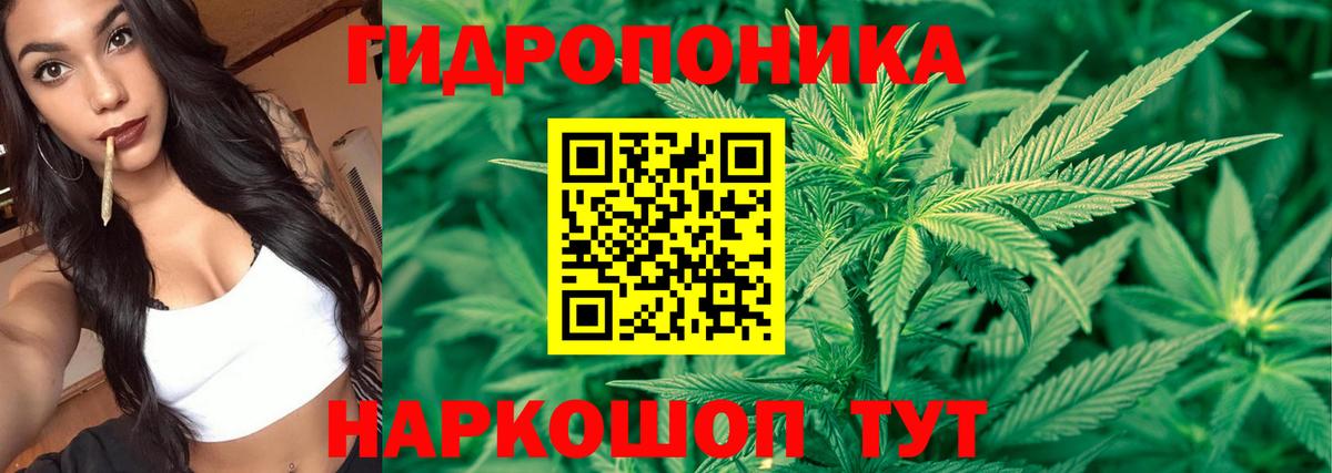 Шишки марихуана SATIVA & INDICA Бугульма